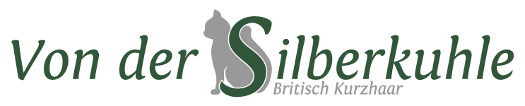 Zurück zur Startseite